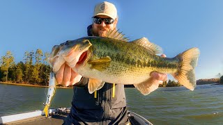 Fall Fishing For Bass Is Easy Heres How We Do It [upl. by Attekram]