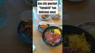 Aso city gourmet quotYamaichiquot has delicious meat japanesetravel [upl. by Dias]