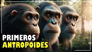 LOS PRIMEROS ANTROPOIDES Oreopithecus Dryopithecus y Ramapithecus⭐aulamedia Historia [upl. by Yanel]