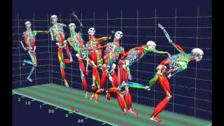 Biomechanical analysis [upl. by Llywellyn]