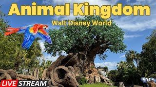 🔴 Live Animal Kingdom Day  Walt Disney World 7112024 [upl. by Einaej]