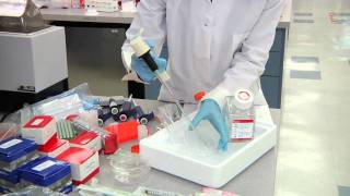 ChIP Optimization Tissue Processing Tips for ChIP [upl. by Ehcsrop]