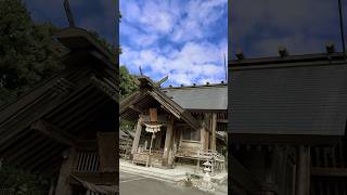 Shinto Shrine in Miyagi Japan with 1000 year old 🌲 shintoshrine japan tokyo cinematic tree [upl. by Bradshaw]