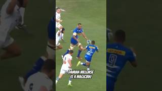 Damian Willemse is a wizard Rugby Stormers TheRugbyGuy CapeTown [upl. by Robyn317]