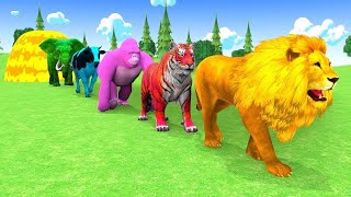 Long Slide Game With Elephant Gorilla Buffalo Hippopotamus Tiger  3d Animal Game  Funny 3d Animals [upl. by Anaujat191]