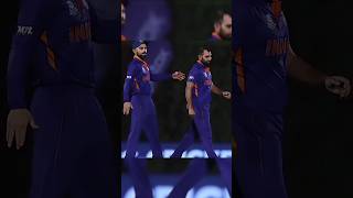 Mohammad Shami Bowling 💀🔥  shorts cricket shortsvideo [upl. by Terrab250]