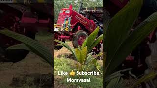 Tractor 🚜wheeling shortvideo farmhouse traditional tranding moravasal shorts short tractor [upl. by Naryb]