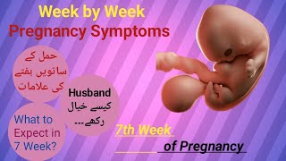 7 week of Pregnancy  Pregnancy week by week  What to Expect in 7th week raniababer [upl. by Nawd41]