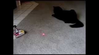 How to make CatBot Automated Cat Laser using Arduino Full Tutorial [upl. by Riem]