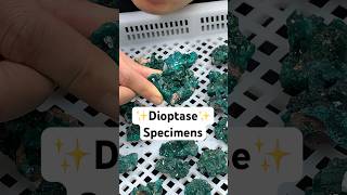 Dioptase gemstone specimens starts from 25😳 dioptase crystalspecimens minerals crystalwholes [upl. by Silver895]