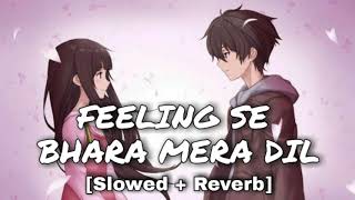 Feeling Se Bhara Mera Dil Slowed and Reverb  Sumit Goswami [upl. by Hinch]