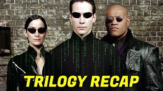 The Matrix Trilogy Recap  Hindi [upl. by Nisse216]