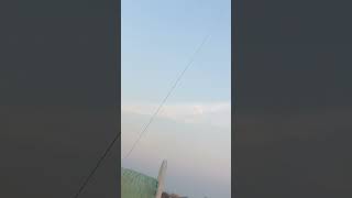 Im a KITE FLYING Expert and I Found the BEST Kite for 2024 basant kiteflying kitehubs [upl. by Tertius]