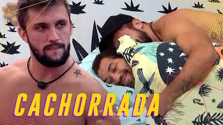 GILBERTO E ARTHUR ENTRE A CACHORRADA E O AMOR ❤️👀  BIG BROTHER BRASIL 21 [upl. by Arbuckle]