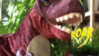 Playskool Kota and Pals Monty TRex Review [upl. by Enogitna]