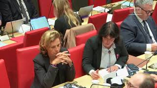 Audition de la Ministre Rachida Dati sur la Mission Culture du PLF 2025 [upl. by Htennaj]