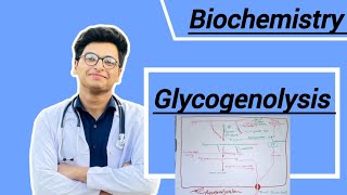 Glycogenolysis  Glycogen metabolism [upl. by Hobbs]