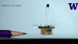 The first wireless flying robotic insect takes off [upl. by Randene]