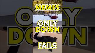 ONLY DOWN  funny MEMES FAILS and MORE  Daily Funny Videos pt195 [upl. by Wehttam]