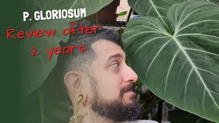 Philodendron Gloriosum Review  Was it worth it  2 Years later [upl. by Aliam]