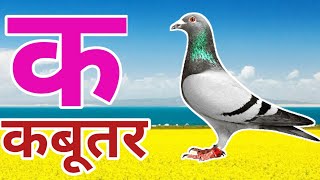 क से कबूतर ज्ञानी तक वर्णमाला विडियो  Ka se kabutar gyatak Hindi vernamala video  a se anar हिंदी [upl. by Eirdua]