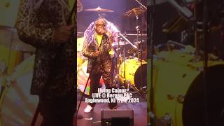 Living Colour Highlights from Bergen PAC Englewood NJ 1242024 livingcolour concert livemusic [upl. by Lilah]