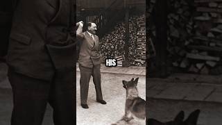 Blondie the Dog the Tragic Story of Hitlers Beloved Companion [upl. by Paradies113]