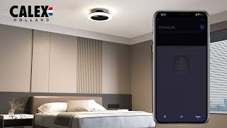 CALEX Smart Ceiling Fan Light Installation [upl. by Hurley]