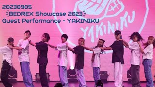 20230905 《BEDREX Showcase 2023》 Guest Performance  YAKINIKU [upl. by Patin]