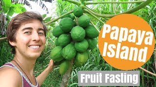 What Happened When I Ate 30 Papayas a Day [upl. by Trinl]