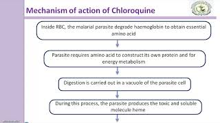 Chloroquine Mechanism of action [upl. by Gigi96]