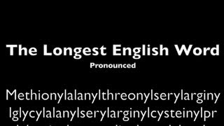 Longest English Word Pronounced [upl. by Htebazie798]