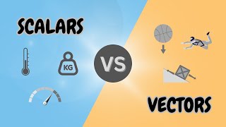 Understanding Scalars and Vectors [upl. by Reaht740]