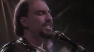 The Smithereens  Only a Memory  A Girl Like You Unplugged  1990 [upl. by Aisilef]