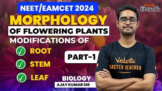 Morphology of Flowering Plants  Part1  EAMCETNEET 2024  Ajay sir  Vedantu Telugu [upl. by Aisset49]