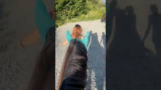 Balade improvisée 🥴 chevaux cheval chevalpassion [upl. by Odnomyar]