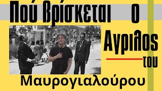 Πού βρίσκεται ο Αγριλος του Μαυρογιαλούρου [upl. by Atiek]