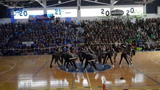 DREYFOOS SOPHOMORE PEP RALLY DANCE 2018  Brianna Seaberg [upl. by Aenyl103]