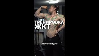 Тренировка пищеварительной системы [upl. by Eelyrag]