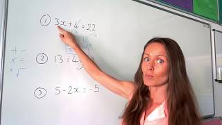 The Maths Prof Solving Linear Equations part 1 [upl. by Airemaj488]