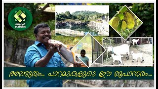 Kissan Krishideepam Episode  1082 The miraculous transformation of an abandoned quarry [upl. by Jyoti]