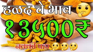 हळद बाजार भाव  halad bajar bhav  halad bhav today  haldi bhav today [upl. by Xonel]