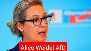 ALICE WEIDEL AFD 💀 REDE AUF 360 🚨 [upl. by Anivol200]