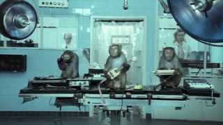 The Secrets Behind the Basement Jaxx Wheres Your Head At Video [upl. by Liuqnoj]