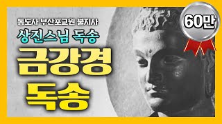 금강경 독송 상진스님 Full BTN불교TV [upl. by Issac]