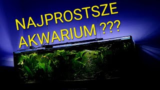 Jak założyłem akwarium 400L Czy to najlepszy sposób na założenie prostego akwarium  KONTROWERSJA [upl. by Ahsille]