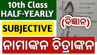 10th class half yearly exam 2024 science question paper  10th class half yearly exam 2024 [upl. by Mattson518]