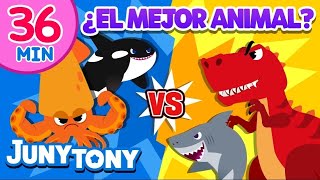 ¿El Mejor Animal ¡Vamos a Ver Quién Ganará  Animales  VS Serie  JunyTony en español [upl. by Nylekoorb]