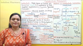 01 Introduction to Carbohydrate Metabolism  Metabolic Pathways of Carbohydrate  Biochemistry [upl. by Jem]