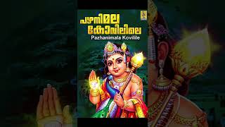 Pazhanimala kovilile  പഴനിമല കോവിലിലെ reels shorts pazhani shashti muruga palani viral [upl. by Julissa]